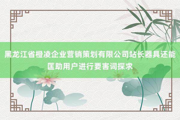 黑龙江省橙凌企业营销策划有限公司站长器具还能匡助用户进行要害词探求